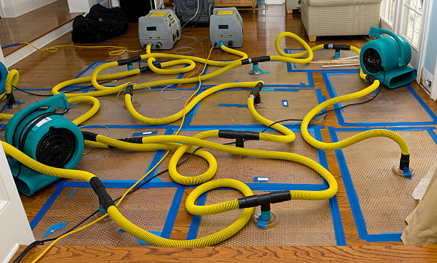 Professional Basement Flood Cleanup technician working in Bedford, IA